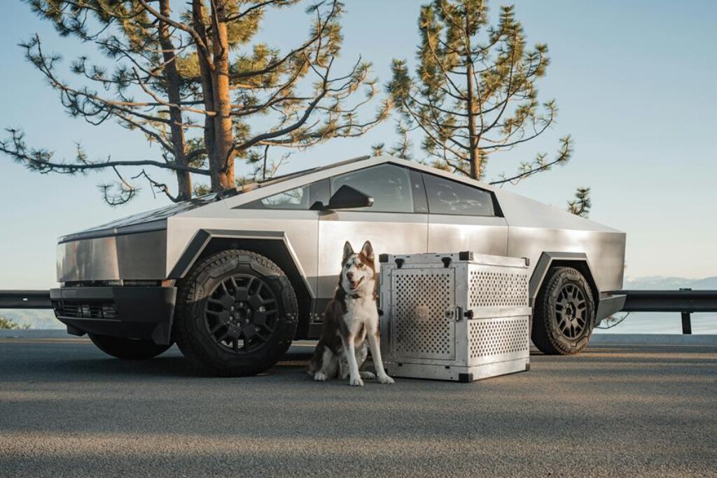 How Do You Pick the Right Dog Crate for Travel?